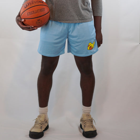 Dabbly Ducks Signature Mesh Shorts - Baby Blue